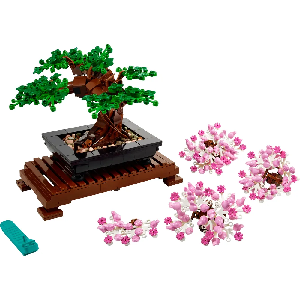 Bonsai Tree