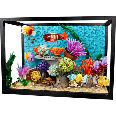 Tropical Aquarium