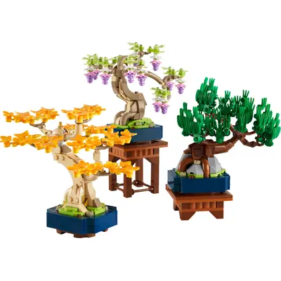 Mini Bonsai Trees
