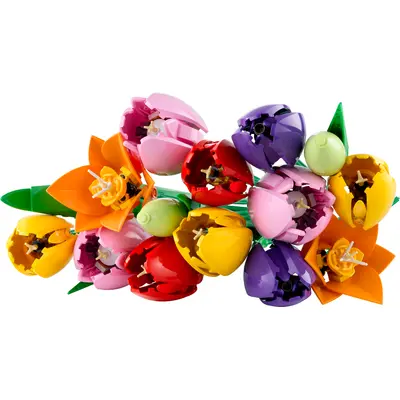 Tulip Bouquet