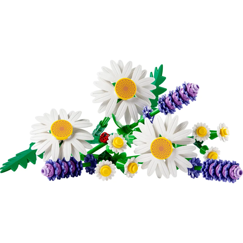 Daisies