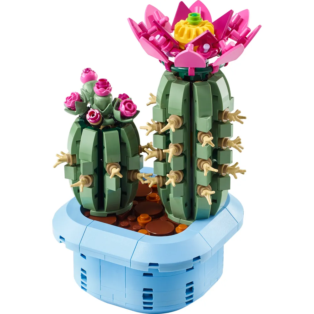 Flowering Cactus
