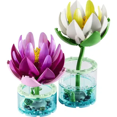 Water Lilies