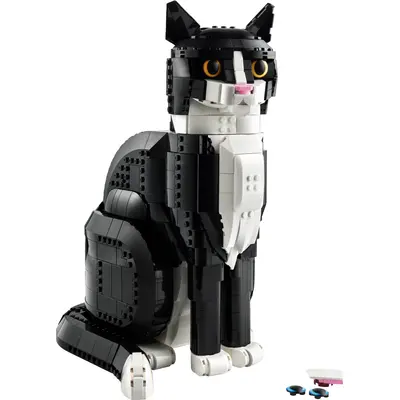 Tuxedo Cat