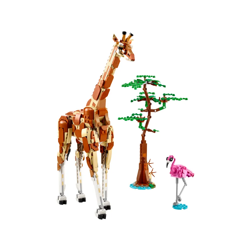 Wild Safari Animals