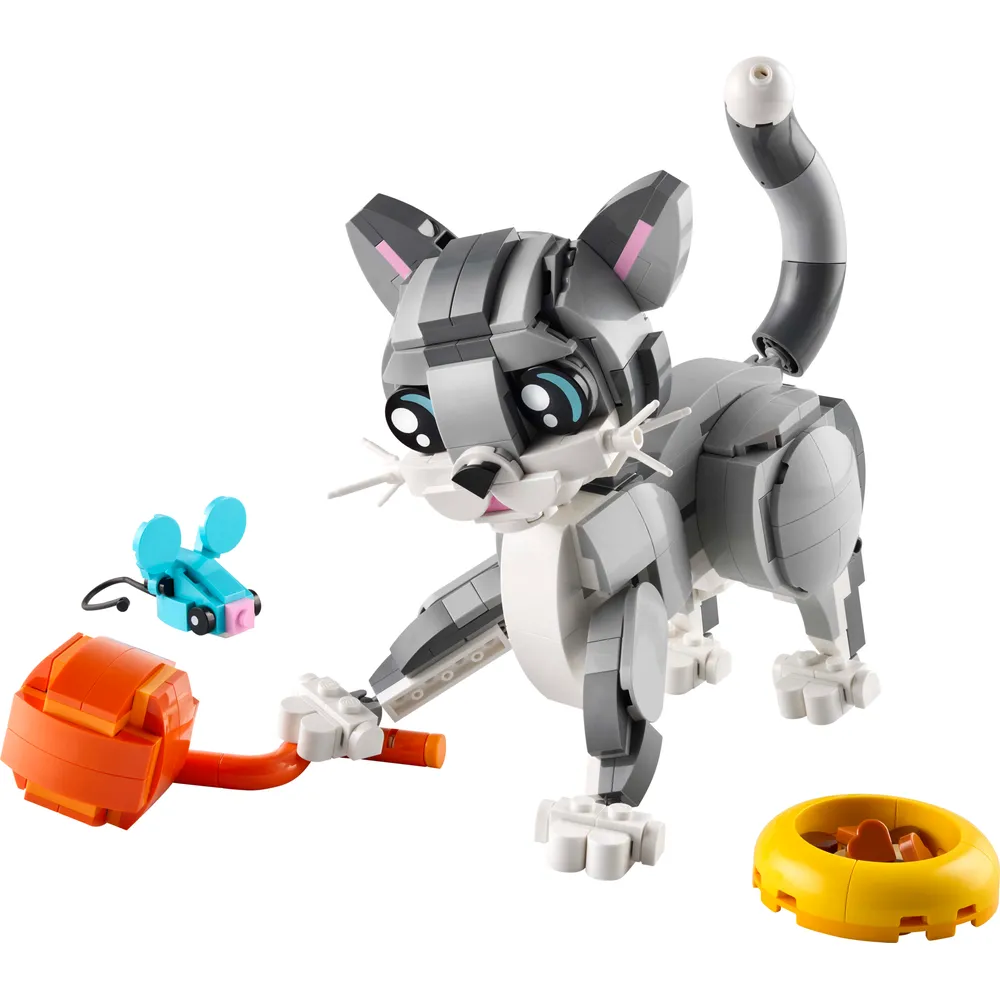 Playful Cat