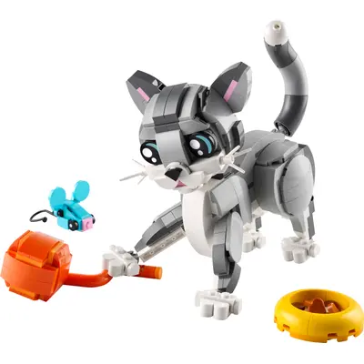 Playful Cat