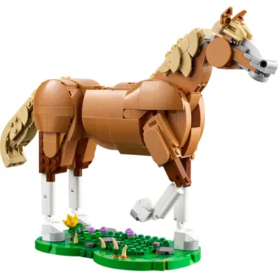 Beautiful Horse