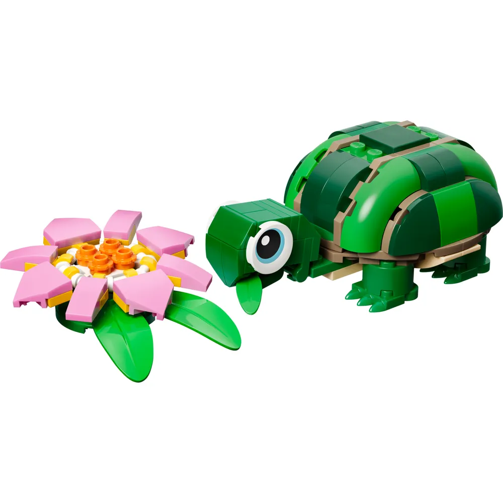 Turtle with a Water Lily Flower