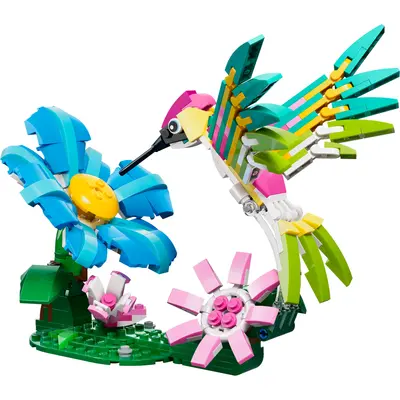 Wild Animals: Colorful Hummingbird