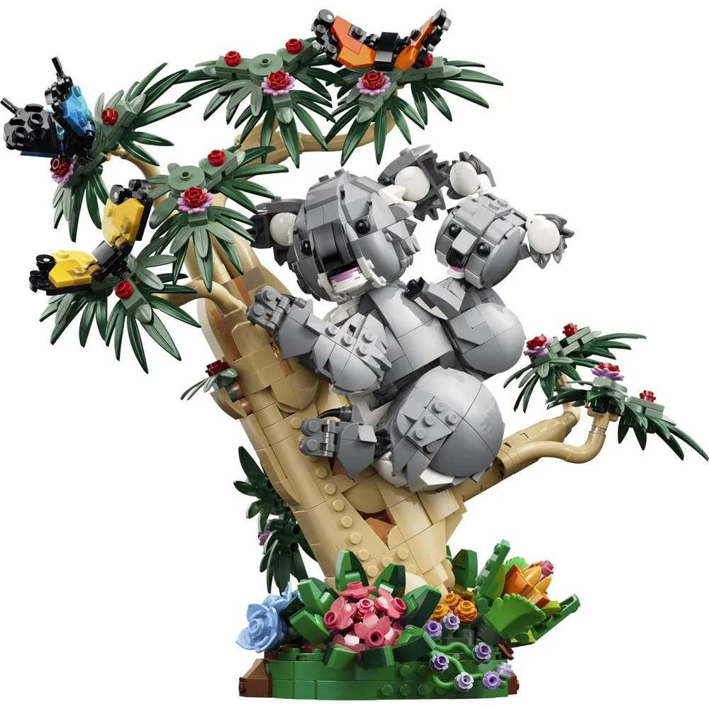 Wild Animals: Family of Koalas