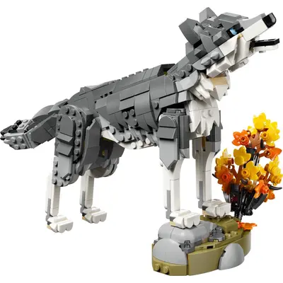 Forest Animals: Gray Wolf