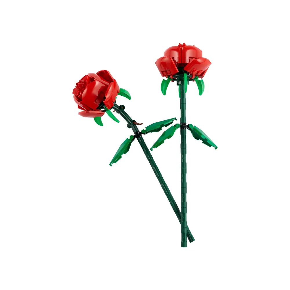 Roses